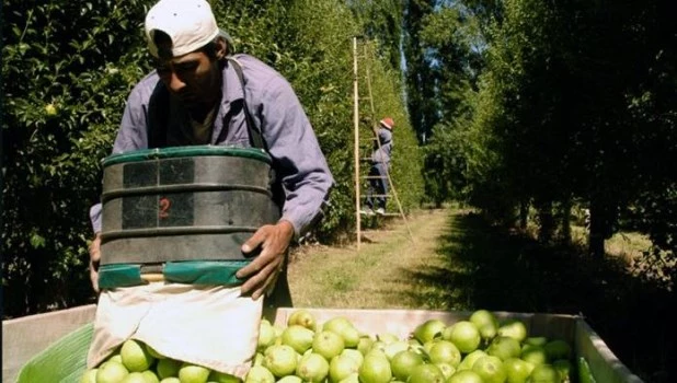 Las exportaciones de economías regionales acumulan un superávit comercial de US$6.464 millones