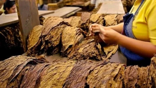 La Corte falló contra una tabacalera, que deberá pagarle al Estado 400 mil millones de pesos