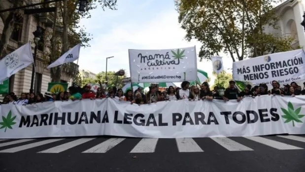 Dramas rioplatenses: “Abajo el tabaco…vivas a la marihuana”