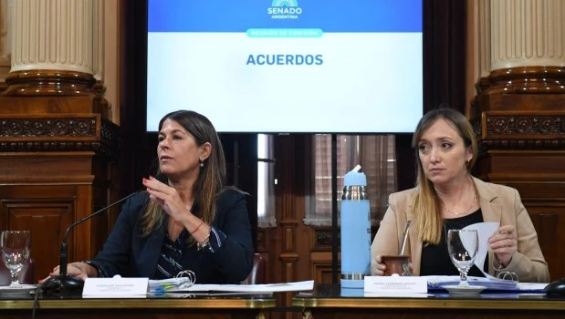 Senado: acuerdo para los jefes militares designados por Milei
