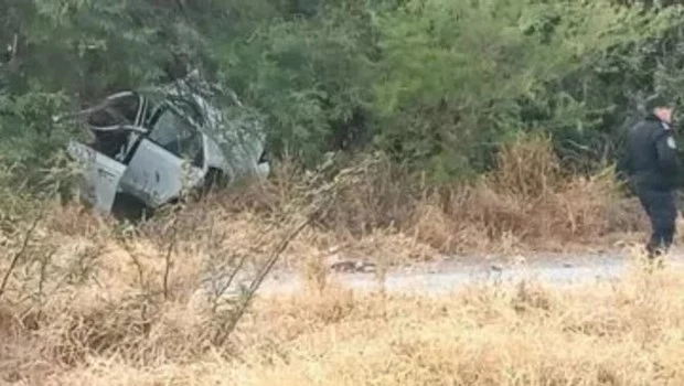 Dos maestras hicieron dedo y una de ellas murió al chocar el auto en el que viajaban contra dos caballos