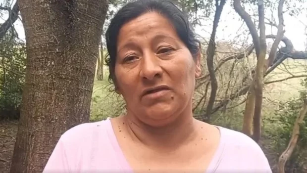 Un giro en la causa Loan: la tía asegura que el niño murió tras ser atropellado