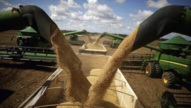 El sector agroexportador liquidó 24% menos dólares respecto a mayo