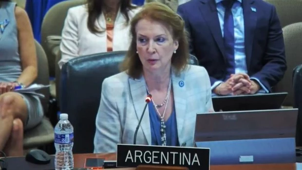 Mondino pidió en la OEA por los asilados en Venezuela y reclamó "no ser cómplices del fraude" de Maduro 