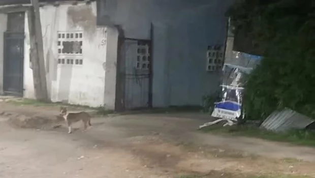 Detuvieron al joven acusado de matar a puñaladas a su pareja en La Plata