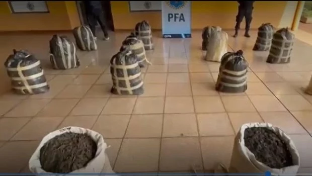 Decomisaron 200 kilos de marihuana en Misiones 