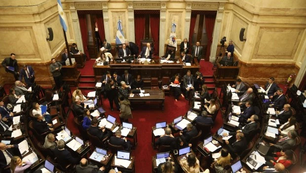 El Senado aprobó debatir en la próxima sesión el aumento del presupuesto universitario 