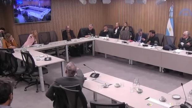 Una discusión entre zonzos