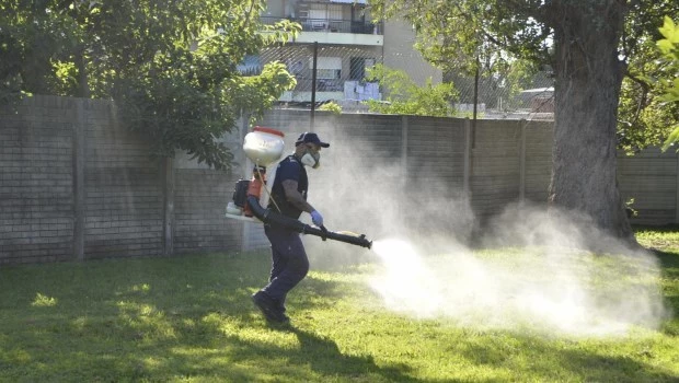 El plan para combatir el dengue este verano