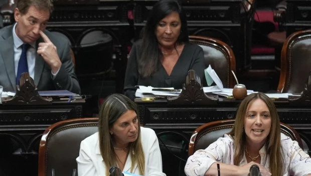 El PRO ratifica su apoyo al veto de Milei a ley de jubilaciones: "Queremos ayudar al Gobierno"
