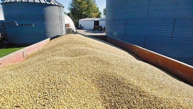 Cerealeras liquidaron US$ 2.451 millones en agosto