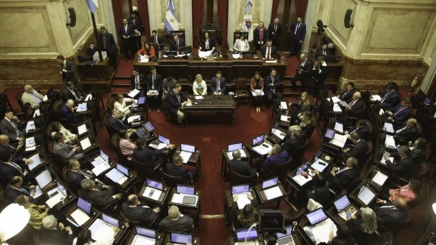 Otra derrota para Milei en el Congreso: la Cámara Alta volteó el DNU que le otorgaba fondos a la SIDE y aprobó la actualizaicón del presupuesto Universitario