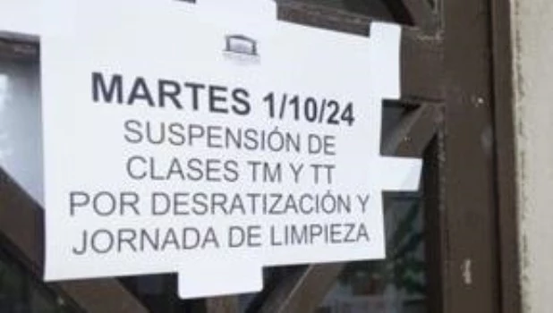 Un alumno fue mordido por una rata y suspendieron las clases en una escuela de Rosario