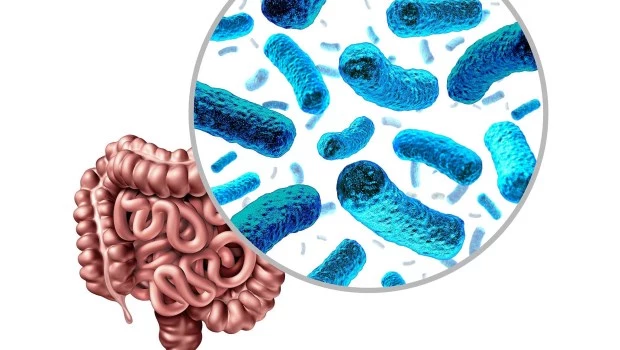 El rol de la microbiota en la salud y la enfermedad