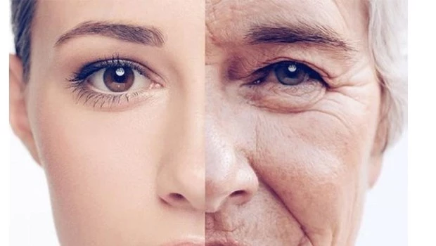 ¿El colágeno realmente ayuda a combatir las arrugas y el envejecimiento?