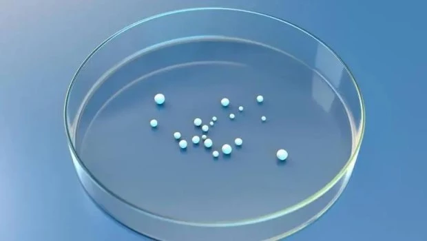 Crean "mini cerebros" para modelar la demencia con cuerpos de Lewy