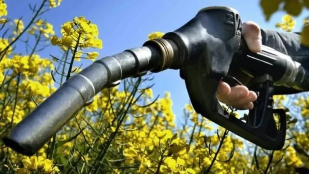 Autorizan la suba de los biocombustibles