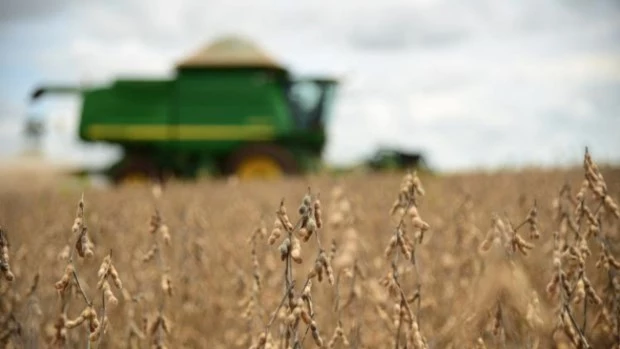 El Gobierno derogó otras 10 restricciones del sector agropecuario