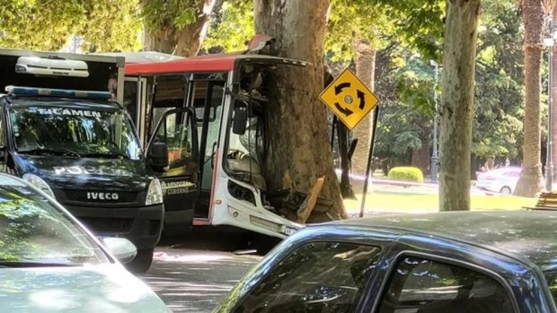 Un colectivero murió alchocar su vehículo contra un árbol en Mendoza