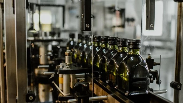 El increíble impacto del aceite de oliva en la salud humana