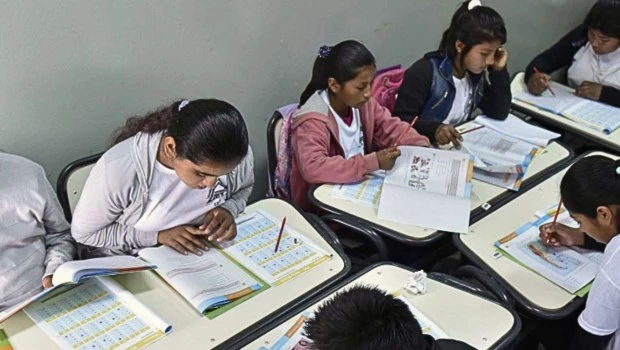 Las evaluaciones desde 2016 revelan un aumento alarmante de estudiantes que no alcanzan los aprendizajes mínimos en casi todas las materias.