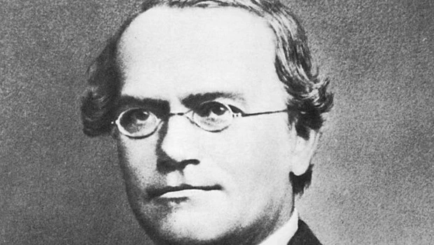 Gregor Mendel