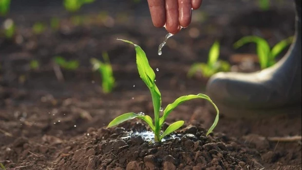 La nota positiva la dio el sector agropecuario, con un salto interanual del 13,2 %.