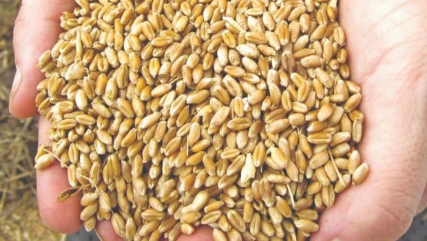 Commodities: los precios avanzaron un 4,2% en noviembre por impulso de hidrocarburos y alimentos