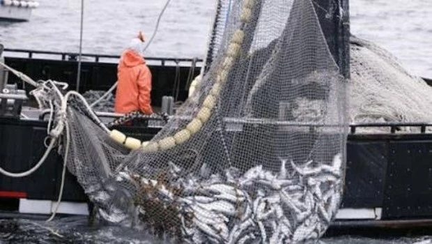 El sector pesquero se quejó por haber sido excluido de la baja de retenciones