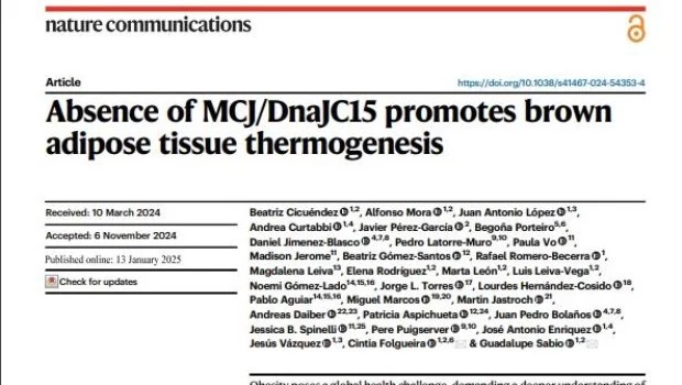 Prometedor descubrimiento para el tratamiento de la obesidad