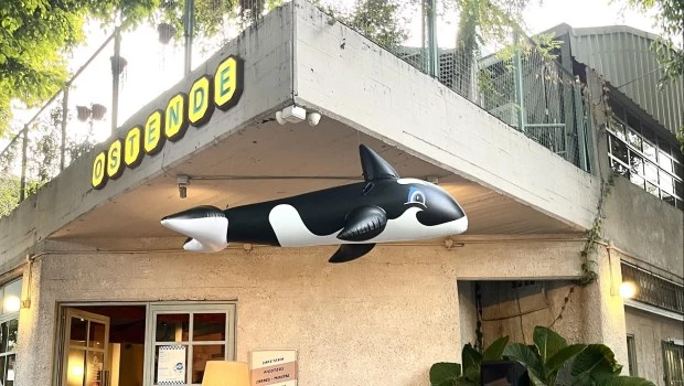 Nuevos shows gastronómicos