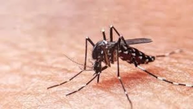 Recomiendan reforzar las medidas de prevención del dengue debido a las intensas precipitaciones 