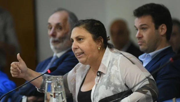 Oliveto habló de "tensión" entre el PRO y el oficialismo y acusó a los libertarios de "votar todo con el kirchnerismo"