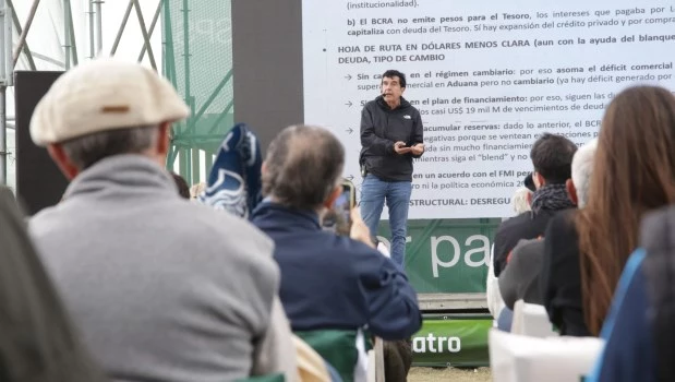 Melconian criticó al Gobierno: "No tiene un plan de estabilidad"