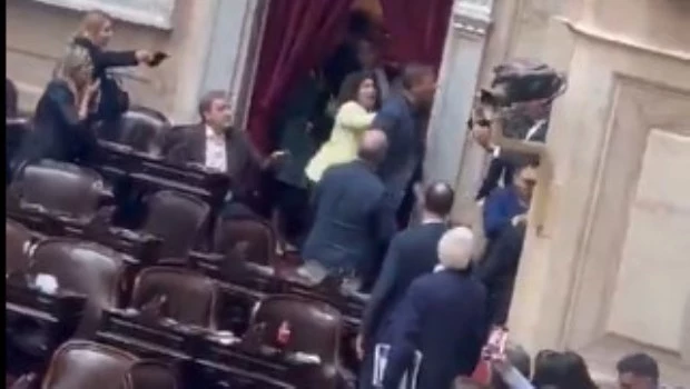 Dos diputados a los golpes en medio de la sesión 