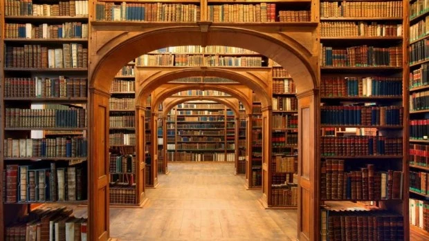 El vicio impune de los libros