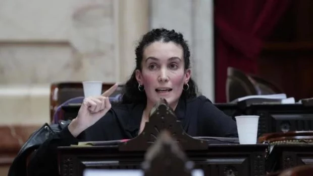 Desde el kirchnerismo proponen duplicar los montos de Anses para las víctimas de las inundaciones en Bahía Blanca