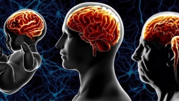 ¿Qué es la salud cerebral y por qué ocuparse de ella?