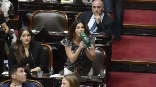 Marcela Pagano sigue aumentando la tensión en el oficialismo: esta vez fustigó a Martín menem