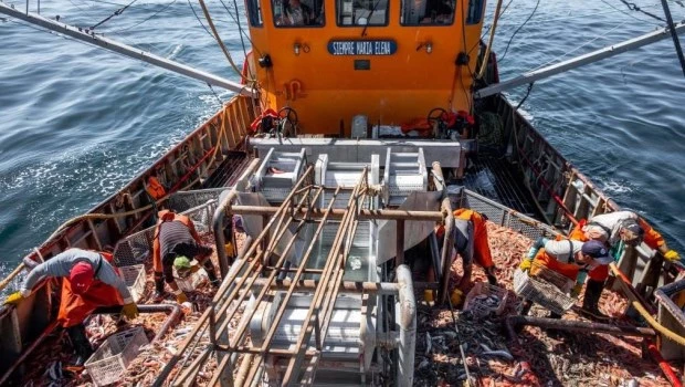 La captura del langostino se paraliza por los altos costos y bajos precios internacionales