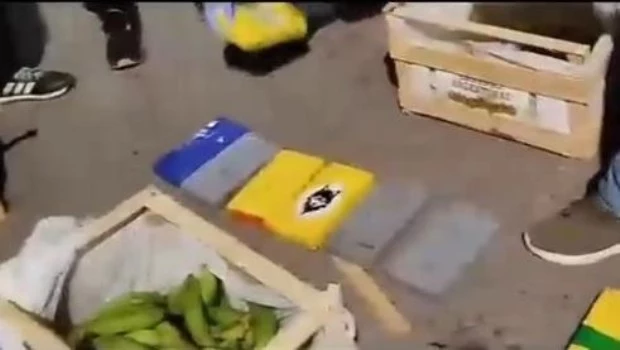 Incautaron más de 150 kilos de cocaína camuflados en bananas 