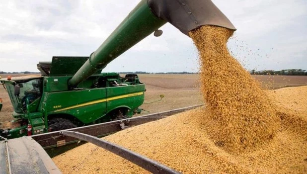 Agroexportadores liquidaron un 15% menos en marzo con relación a febrero