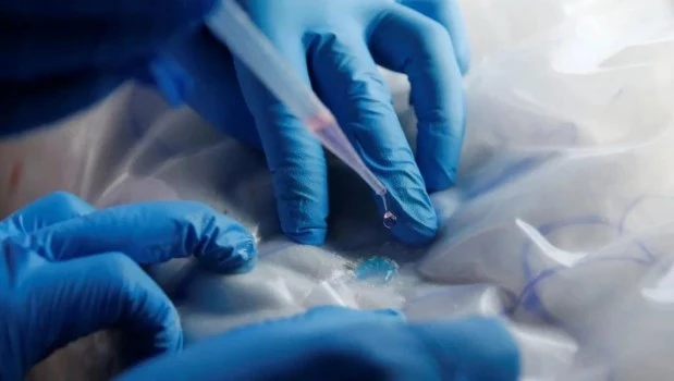 Una droga experimental reduce el consumo de cocaína y alcohol