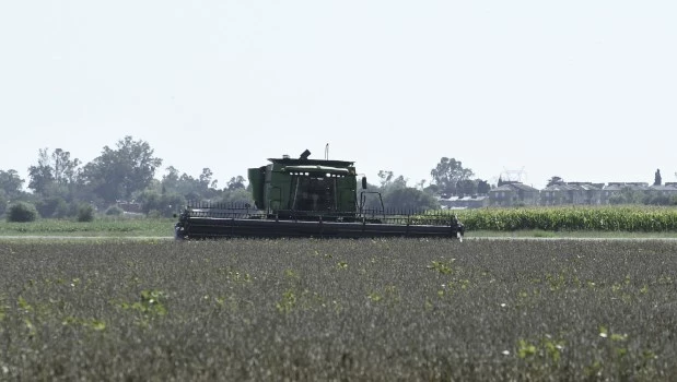 Eliminan el Registro Único de la Cadena Agroindustrial y unifican la información