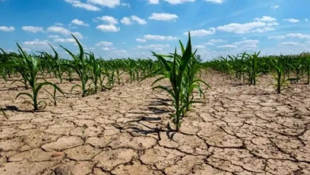 El Gobierno declaró la emergencia agropecuaria para Chaco y Santa Fe