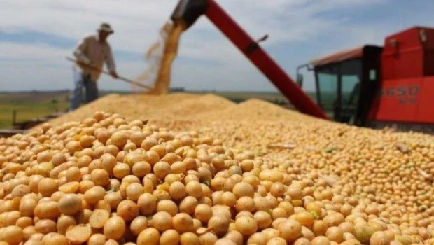 El sector agropecuario podría generar exportaciones adicionales por US$17.000 millones en 10 años