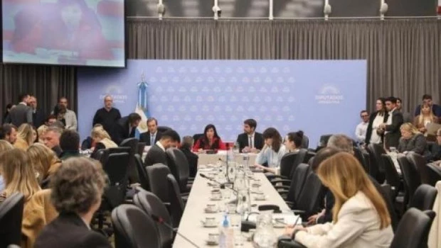 Diputados tratará el proyecto de baja de la edad de imputabilidad 