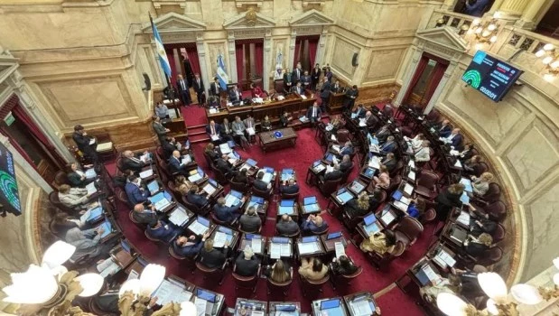 El Senado debate la ley de Ficha Limpia