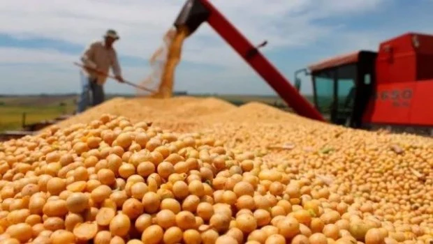 La soja, el maíz y el girasol volverán a pagar el derecho a la exportación desde el 1 de julio
