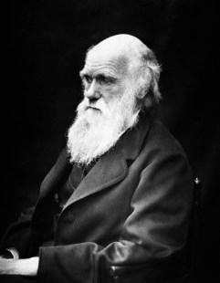 Se cumplen 150 años de la "Teoría de la evolución" 